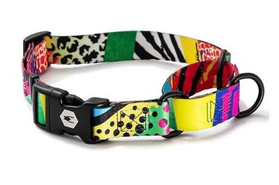 Wolfgang Heavy Duty Martingale Dog Collar with Quick Release Nylon Buckle for Walking & Training, RetroFit Print, Extra Large