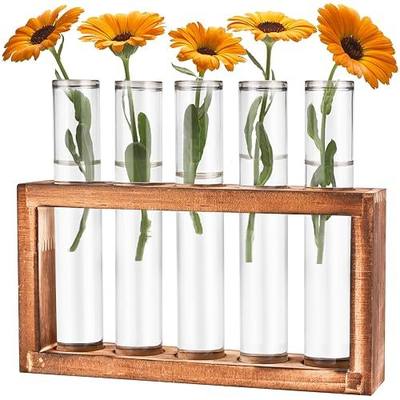 Tigvio Desktop Glass Plant Propagation Station (5 Tubes) | with 5 Test Tubes in Wooden Stand - Hydroponic Plants Cutting Office Home Decoration and Garden Decor Terrarium
