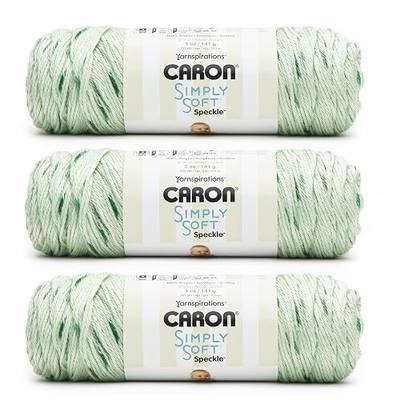 Caron Simply Soft Speckle White Sage Yarn - 3 Pack of 5oz/141g - Acrylic - #4 Worsted (Medium) - 235 Yards - Knitting & Crochet