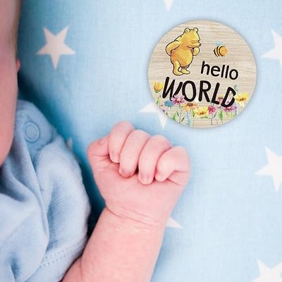 The Winnie Baby Bear Month Milestone Circles, Wooden Discs Stuff for Baby Photo Takens with Hello World Name Signs - 7Pcs Double Sided Signs for Documenting Growth