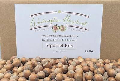 Raw, small size in-shell Hazelnuts grown in our family's orchard. 12 pound squirrel box.