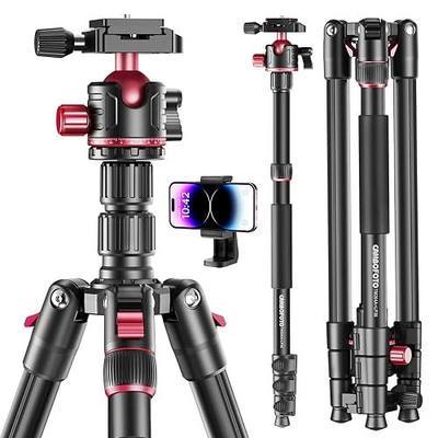 CAMBOFOTO 74" Professional Camera Tripod & Monopod with Carry Bag | Ball Head Aluminum Photography DSLR Tripod, Compatible with Binoculars Laser Telescope (Weight 3 Lbs, 13Lbs Load)
