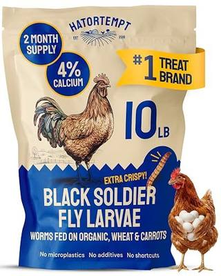 Hatortempt 10lb Black Soldier Fly Larvae for Chickens, Feed for Laying Hens | More Calcium Than Mealworms - Strong Shells and Rich Yolks - Worms Fed An Organic Diet - High Protein Treats