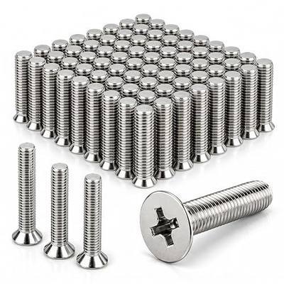 Blulu 100 Pcs 1/4"-20 x 1 Hurricane Shutter Fasteners, 304 Stainless Steel Sidewalk Bolts, Truss Head Machine Screws for Exterior Window Panels and Doors Hardware