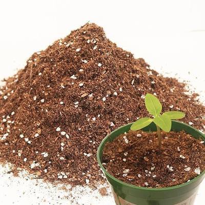 3QT Potting Soil Mix for Indoor Plants - Contains Perlite, Peat Moss, Coco Coir & Rice Charcoal, Natural & Organic Material with Well-Draining, Light & Aerated Texture for Healthy Roots & Fast Growth