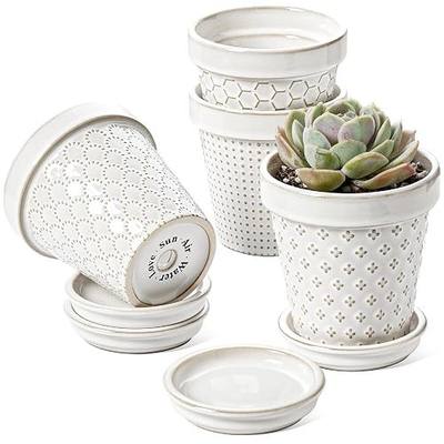 LE TAUCI Ceramic Succulent Pots, 4 Inch Small Plant Pot for Indoor Plant Cactus, Embossed Flower Pots with Drainage Hole & Saucer - Set of 4, Arctic White