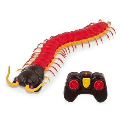 Terra by Battat RC Centipede Toy, Giant Scolopendra with LED Eyes, Animals | Remote control centipede toy with 18 body segments, wriggly legs, realistic crawling action, and 1 remote control, 6+ Years