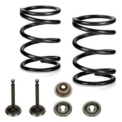 FVRITO Racing 18lb Valve Springs Kit for Predator 196cc 212cc 224cc Non Hemi GX160 GX200 6.5HP OHV Clone Engine Mini Bike CT200U BT200X Powerhorse 208cc Tillotson KT196 Go Kart Performance Parts