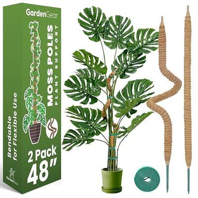 2 Pack 48'' Bendable Moss Pole Monstera Plant Support for Climbing Indoor Plants - Stakes for Potted Climbers - Tall Sticks Indoor Trellis for Houseplants - Accessories for Monstera Pot
