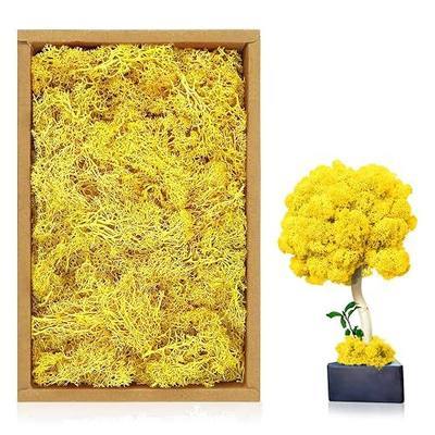 Reindeer Moss, Preserved Moss for Plants, Moss Decor, Green Moss for Crafts, Moss for Potted Plants, Craft Decorative Moss Decor, Dried Moss Table Decor Wedding Decor(7 OZ)(Yellow)