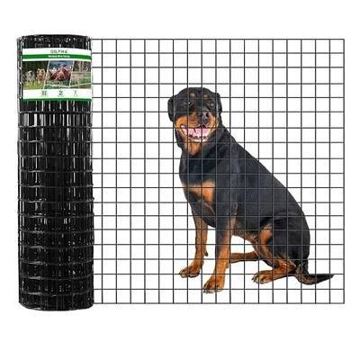 GILPWA Wire Fence, 36 in(H) X 50 ft(L) PVC Coated Welded Wire Fencing 2" X 2" 16GA Garden Border Vinyl Metal Chicken Wire Fencing Mesh Roll for Yard Vegetable Plant Protection Poultry Netting Black