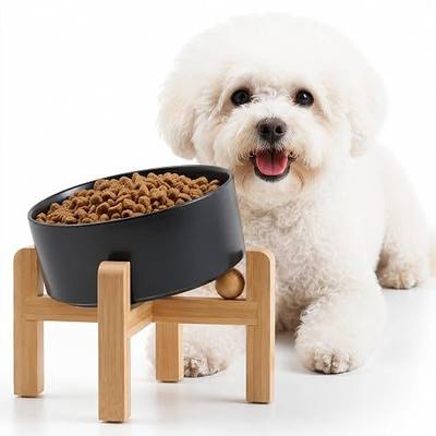 Petygooing Black Raised/Elevated 15°Slanted Ceramic Dog Bowl for Small Breeds,Tilted Anti Slip Pet Feeding Bowl,Food Water Dish with Stand for Cats and Small Dogs Puppy 13.5 OZ (5.1In /1.7 Cups)
