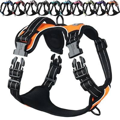 VIVAGLORY No Pull Dog Harness Vest Harness, M, Orange - Plain | with Handle Front and Back Clip for Training & Pulling, No Pull & Escape Proof Padded Adjustable for Pet Puppy