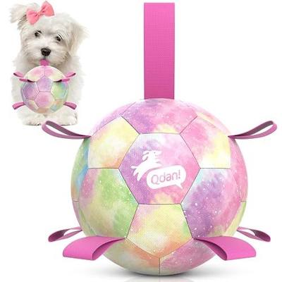QDAN Dog Balls, Dog Soccer Ball with Straps,Puppy Girl Dog Toys, 6 Inch | Pink Puppy Toy Balls for Small Medium Dogs, Outdoor Dog Water Pool Toys, Dog Soccer Ball Toy, Pet Birthday Gifts, Rainbow