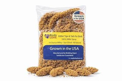 Birds LOVE® Millet Tips & Tails for Birds – Premium Spray Millet Treat, Grown in the USA – Natural & Healthy Bird Food for Parakeets, Cockatiels, Budgies, Lovebirds, Finches, Canaries & Parrots – 1 lb