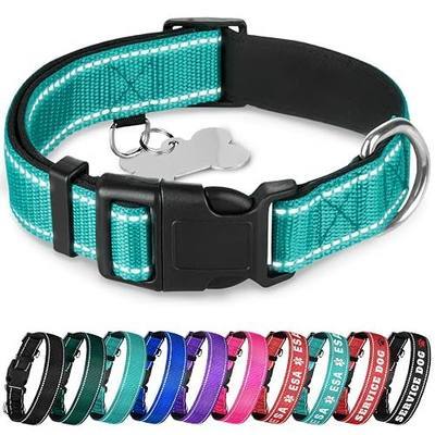 TECEUM Reflective Dog Collar – Aquamarine – M – Extra Soft Padding – Basic Nylon Pet Collar – Quick Release Buckle – Fits Small, Medium and Large Dogs, Puppies, Cats – ESA & Service Dog Options