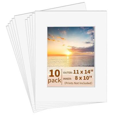 Picture Frame Mats, 11×14 Matted to 8×10 Photo Mat, Acid Free, White | 10 Pcs, Bevel Cut, 1.2 mm Thick, Protects & Decorates Photos/Watercolor Artworks, Outer 11×14 in Fits 8×10 in Picture