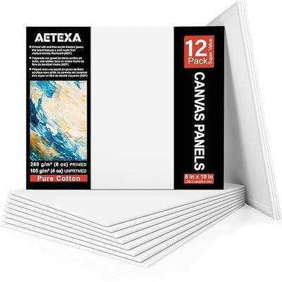 AETEXA Canvases for Painting 8x10 Inch, Canvas Bulk Pack of 12, 8 oz Primed Canvas Panel, Blank Canvas for Painting, Canvas Boards for Painting Acrylic and Oil, Art Supplies for Adults and Teens.