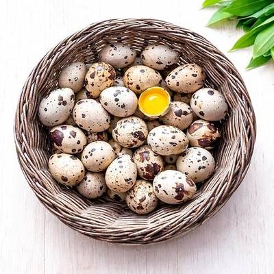 FARM FRESH Quail Eggs *Laid in the U.S.* Hormone Free; Non-GMO - (24+ Ct) *Eating Eggs*