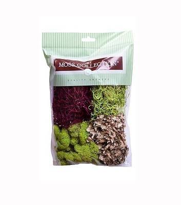 Quality Growers Variety Mix Moss, Preserved Moss, Red Mix, Small 1-Pack | Preserved Moss for Crafts, Home Decor, Art, Design & DIY Projects, Non-Toxic, All Natural, Family Owned, USA Made
