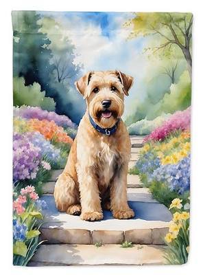 Caroline's Treasures DAC6732GF Wheaten Terrier Spring Path Garden Flag Mailbox Flag Decorative Yard Flag Banner Outside Patio Artwork Yard Flower Beds, Garden Size, Multicolor