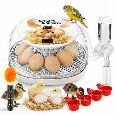 Incubators for Hatching Eggs, Chicken Waterer Cups, Automatic Egg Turner Holds 12 Eggs, Smart Incubator 360° Clear Window with Temperature Display Egg Candler for Small Poultry Chickens Ducks Quails