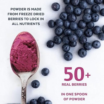 Wild Blueberry Powder Organic, USDA Certified, for Smoothies, Baking and Flavoring, Rich in Antioxidants and Vitamin C, Organic Blueberries are Handpicked from Nordic Forests and Freeze Dried, 6oz