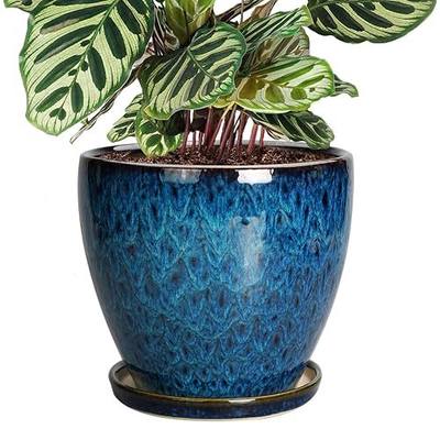 8 Inch Ceramic Planter Pot with Drainage Hole and Saucer, Ceraimc Plant Pot Round Flower Pot for Indoor Plants Outdoor Garden Planter, Blue