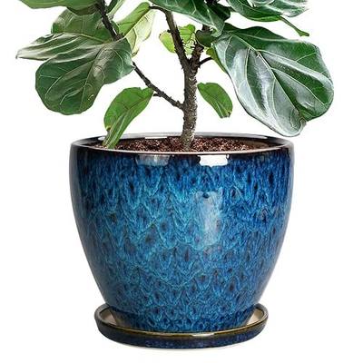 10 Inch Ceramic Planter Pot Round Plant Pot for Indoor Plants Outdoor Large Flower Pot with Drainage Hole and Saucer Blue