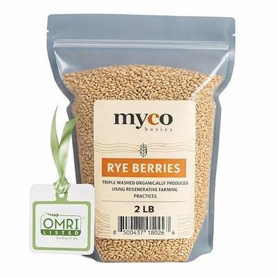 Bulk Rye Berries - Certified 100% Organic - Extra Clean - Great for Mushroom Spawn, Cooking, Brewing & Distilling - Triple Washed, non-GMO and in Resealable Bag - by Mycology Basics (2.0 lbs)