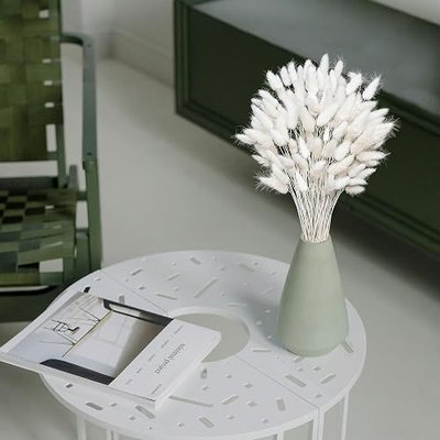 120 PCS White Dried Pampas Grass Decor, 17-inch Pompas Floral, Dry Flowers for Decoration, Pampas Grass in Bulk Tall, White Bunny Tails Dried Flowers for Boho Wedding
