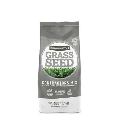 Pennington Contractors Central Grass Seed Mix, Rapid Grass Seeds for Lawn, 7 lb