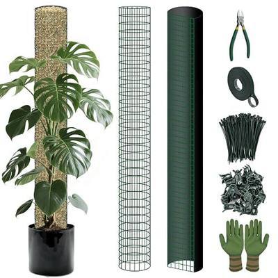 Metal Moss Poles for Climbing Plants, D-Shape Sphagnum Moss Pole Monstera Plant Support for Climbing Plants, DIY Plant Stakes Work with Sphagnum Moss (4ft D-Shaped & 6ft Round)