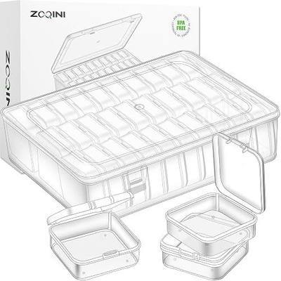 Bead Organizer and Storage Box, 30Pcs Small Clear Plastic Storage Containers 1 Large Craft Organizer Box 1 Sheet Label Sticker, Mini Storage Box for Jewelry Making Diamonds Arts Screws Seeds