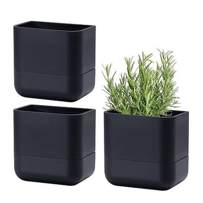 Phoenix Vine 6.5 Inch Wall Mounted Self-Watering Planter Pot for Indoor Houseplants and Herbs | Hanging Planter for Window Sills, Bathroom Walls, Home & Office Décor, Black, Set of 3, 01-C-E-3
