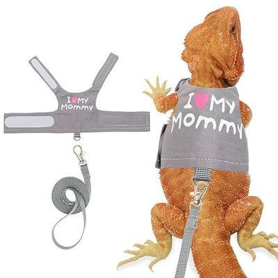 Bearded Dragon Harness and Leash Set, Lizard Harness for Walking Outdoor | Cute Grey Adjustable Bearded Dragon Accessories Reptile Harness Small Animal Clothes Outfit with Short Leash