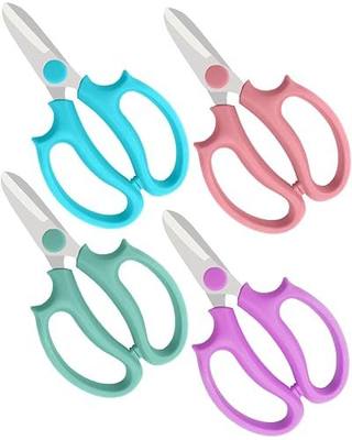 Flower Scissors - 4 Pcs Stainless Steel Flower Shears, Garden Plant Floral Shears for Fresh Flowers Stems (Blue, Green, Pink, Violet)