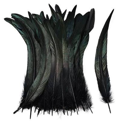 iHUFeather Natural Rooster Tail Feathers 50pcs 10-12inch Long Rooster Coque Tail Feathers Bulk for DIY Crafts Costume and Halloween Party Performances Decoration(Black)