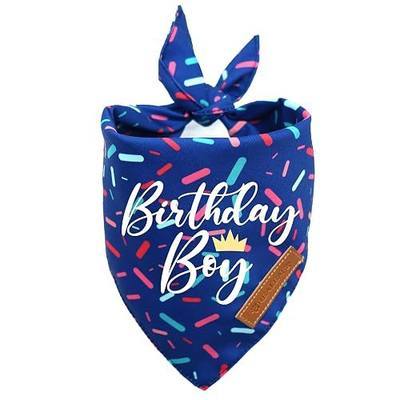 Realeaf Birthday Boy Dog Bandana, Dog Birthday Party Supplies,Premium Durable Fabric, Bandana for Medium and Large Dogs Pets (Blue, Large)