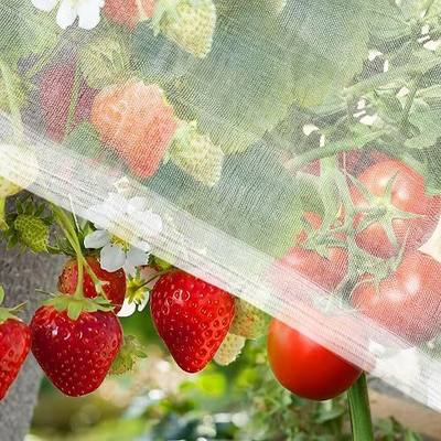 RAINFLOW Garden Netting 10 x 5 FT - 60 Mesh Plant Cover for Raised Beds | Lightweight Garden Mesh for Row Covers, Fruit Trees, Flowers and Vegetable Beds, Helps Shield Plants While Allowing Airflow