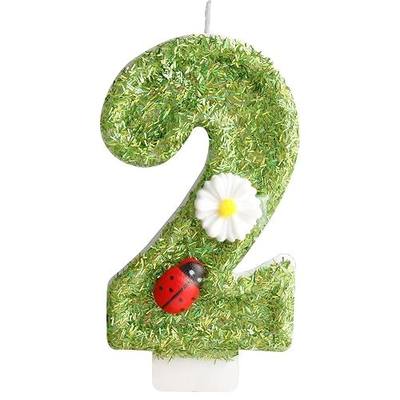 Green Ladybug Number 2 Birthday Candles, White Daisy Flower 2nd Birthday Number Candles for Cake Topper Decorations, Birthday Party Wedding Anniversary Celebration Supplies