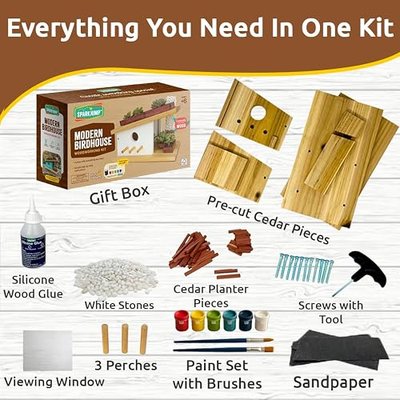 SparkJump Modern Birdhouse Woodworking Kit, Complete DIY Birdhouse for Kids & Adults, Build Your Own BirdhouseKit for Creative Woodworking Crafts