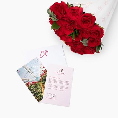 Aquarossa Farms - Red Roses Flowers Fresh Bouquet, Valentines Day Gifts for Her, Fresh Flowers for Delivery, 20 Fresh Cut Stems
