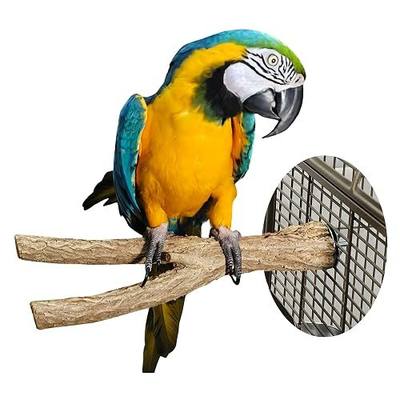Birds LOVE Bottlebrush Wood Bird Perches for Macaws, Eclectus, African Greys and Other Large Parrots - Parrot Perch Stand & Bird Cage Accessories - Natural Wood Large Perches