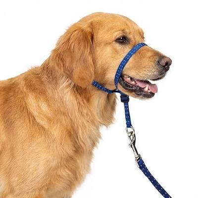 Headcollar for Dogs, Extra Soft Padded, Reflective, No Pull Dog Collar, Gentle Leader for Dogs with Durable Nylon Leash, Padded Handle - Navy Blue (Large)