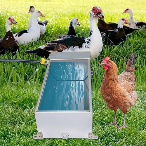 Automatic Livestock Water Trough, 304 Stainless Steel Waterer Bowl with Float Valve, Outdoor Animal Drinking Tank for Horse Cattle Goat Dog Farm Pet