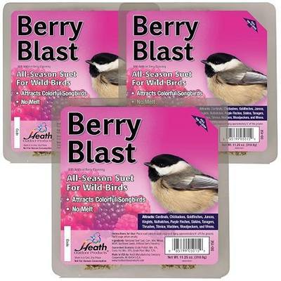 Heath Outdoor Products Berry Blast Suet Cakes Sample Pack, Contains 3 Suet Cakes, Try It, Your Birds Will Love it, for Woodpeckers, Cardinals, Siskins, Sparrows, Finchs & Many More Wild Bird Species