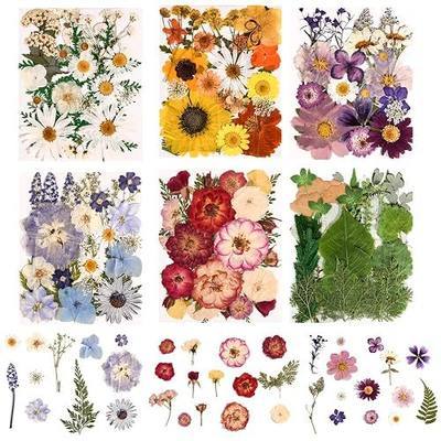150PCS Pressed Dried Flowers Dry Leaves for DIY Crafts, Colorful | Real Natural Dried Flowers Included Tweezers for Resin,Jewelry, Cards, Soap, CandleMaking, Nail Art, Scrapbooking