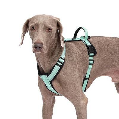 Dog Harness with Security Lock Buckle for Small Medium Large Dogs, Adjustable Dog Cooling Vest, Reflective No Pull No Choke Harness for Trail Running, Walking, Hiking, Camping