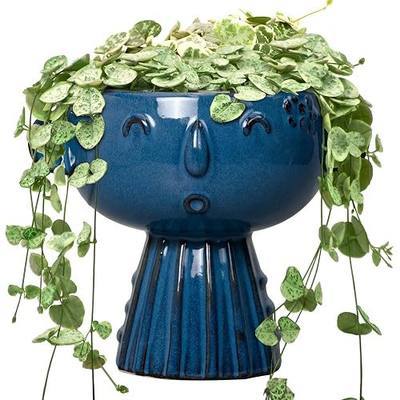 Head Planter Pot - 7 Inch Cute Face Planter for Indoor Outdoor Plants Ceramic Succulent Pot Round Flower Pot Present for Mother Christmas with Drainage Hole Blue